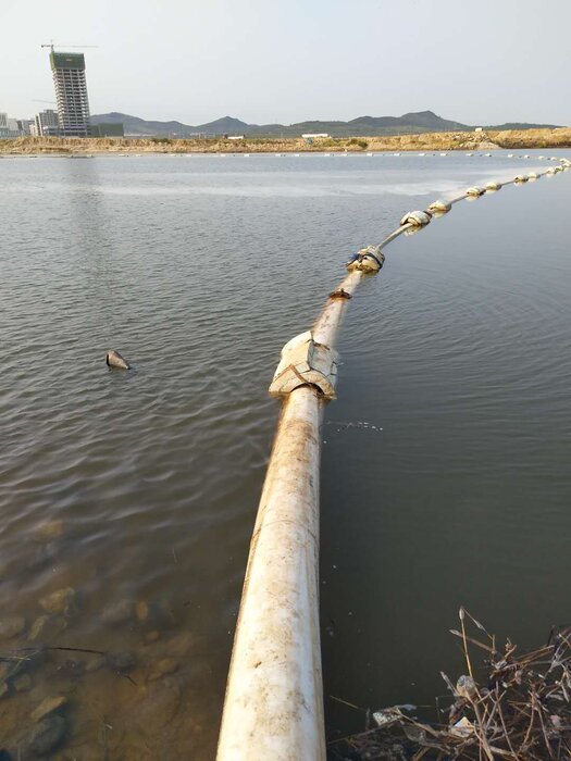 威海市双岛湾羊亭河河口